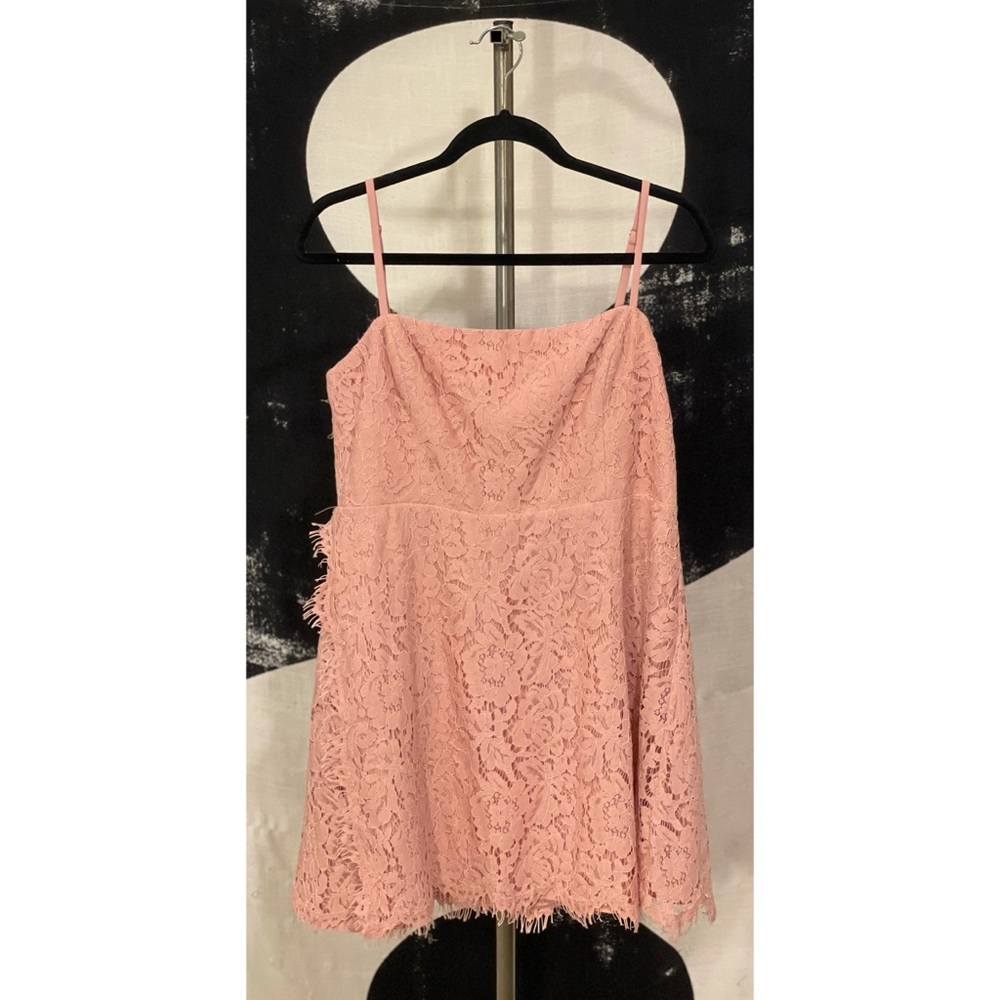 Fame and Partners SZ14 Light Pink Lace Mini Dress